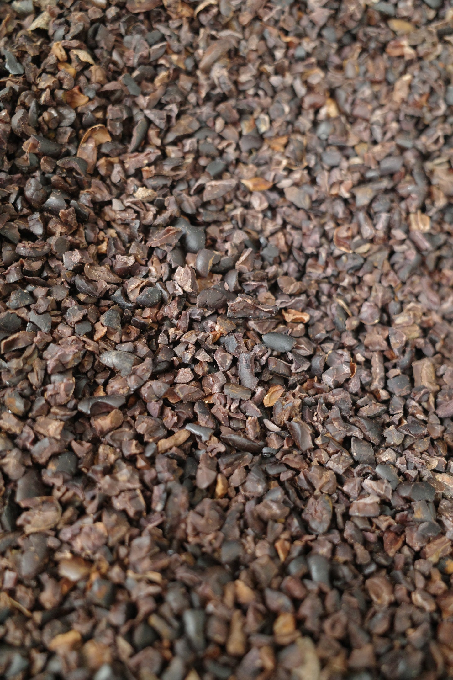 Grué de cacao