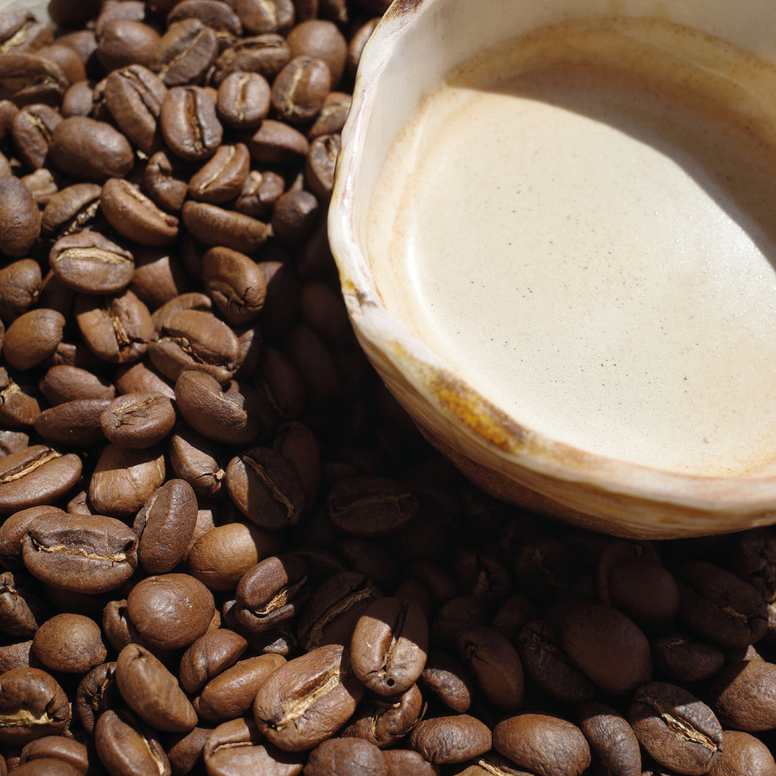Torréfacteur de café de spécialité. Agroforesterie au Salvador