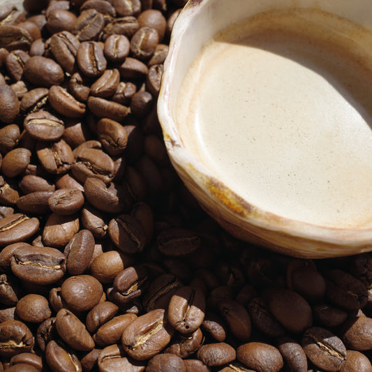 Torréfacteur de café de spécialité. Agroforesterie au Salvador