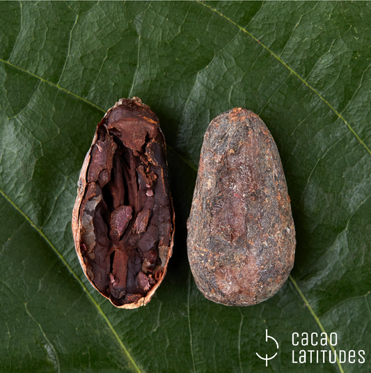 Fèves de cacao crues - Equateur - Mono Bravo